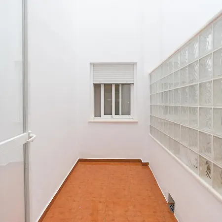 Del Parque Flats Alamos Parrot